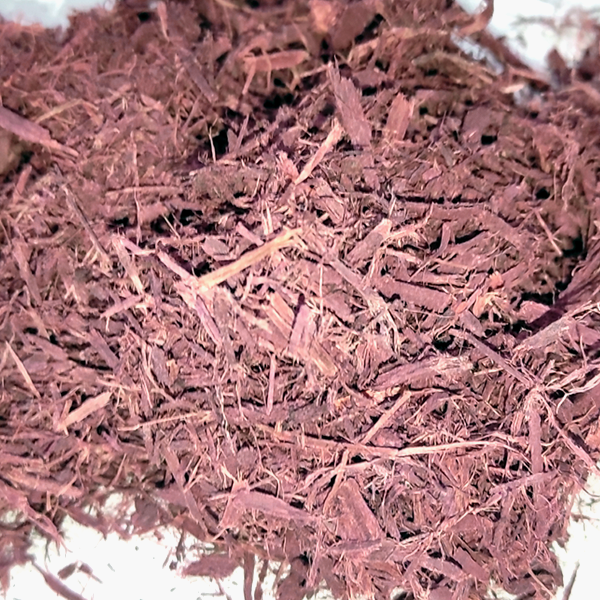 mimosa hostilis root bark for sale